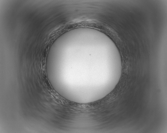 X0000078840966200611130953