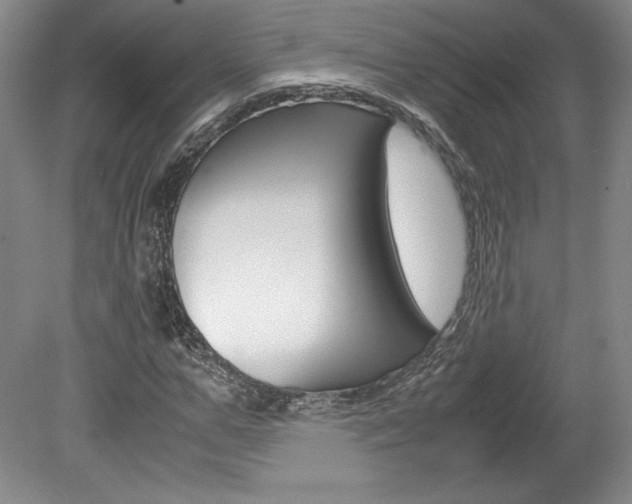 X0000078840967200611130953