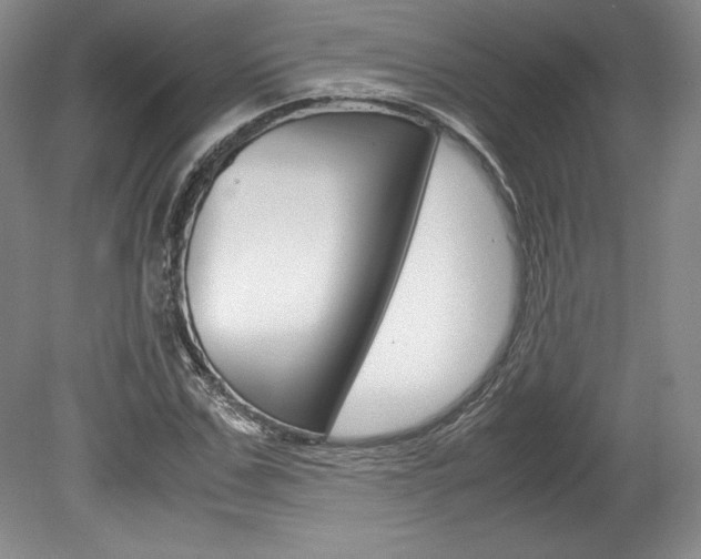 X0000078840971200611130953