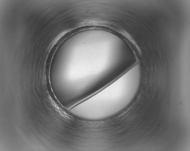 X0000078840972200611130953