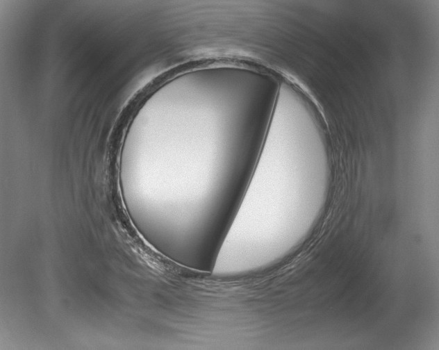 X0000078840975200611130953