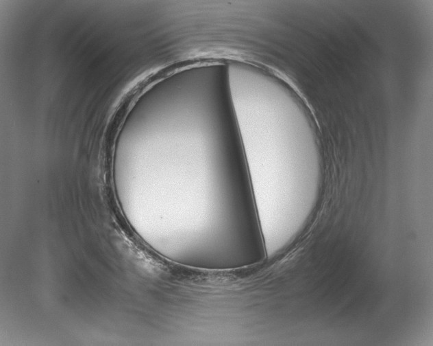 X0000078840979200611130953
