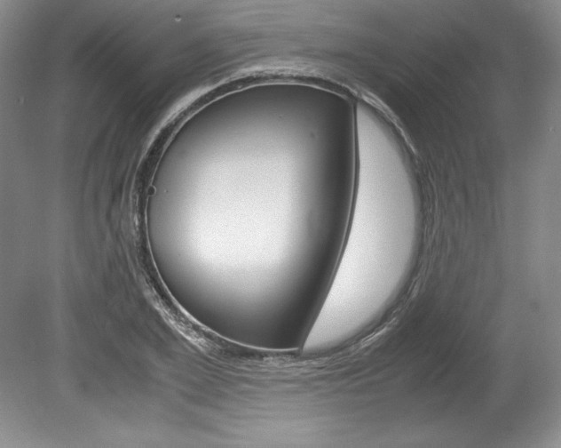 X0000078840981200611130953