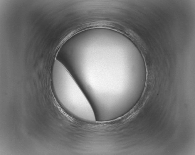 X0000078840985200611130953
