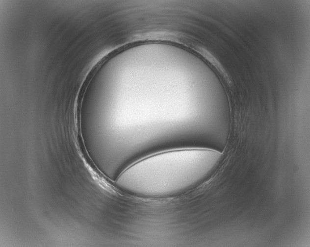 X0000078840988200611130953