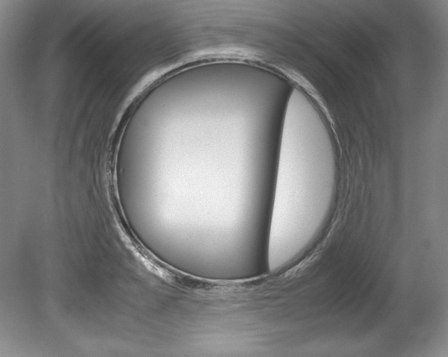 X0000078840989200611130953