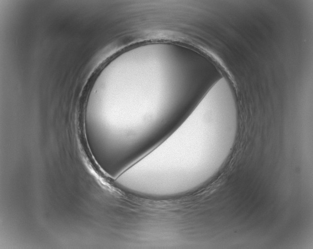 X0000078840991200611130953