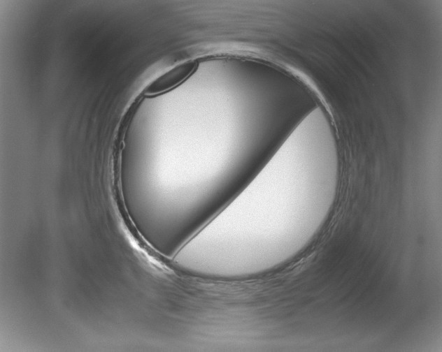 X0000078840999200611130953