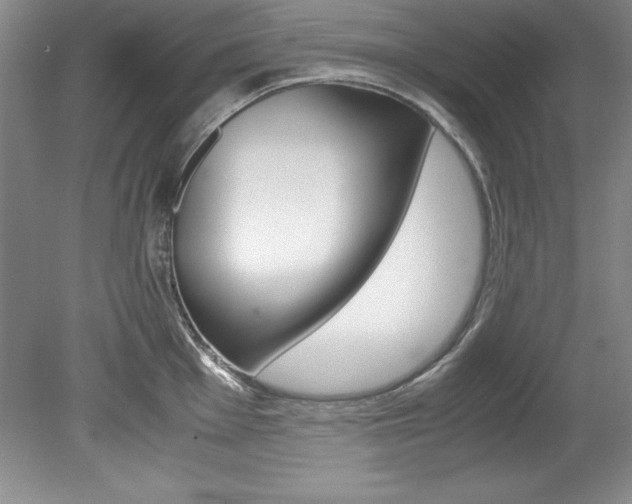 X0000078841001200611130953
