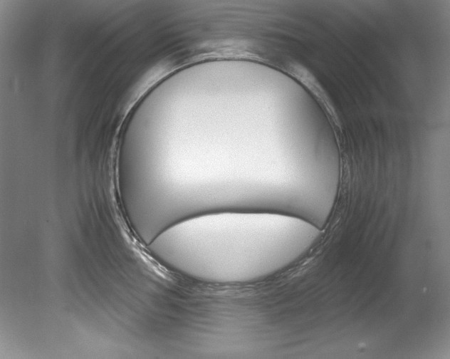 X0000078841002200611130953