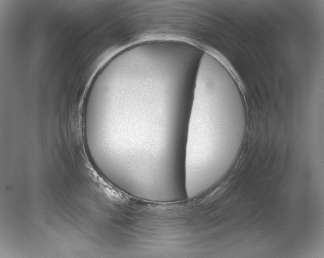 X0000078841004200611130953