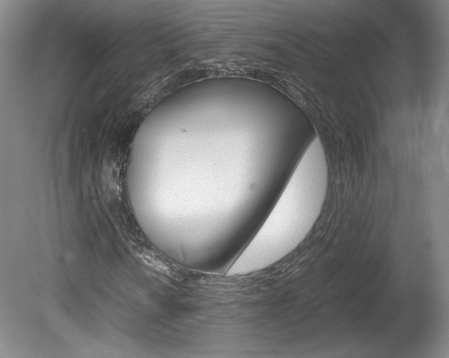 X0000078841010200611130952