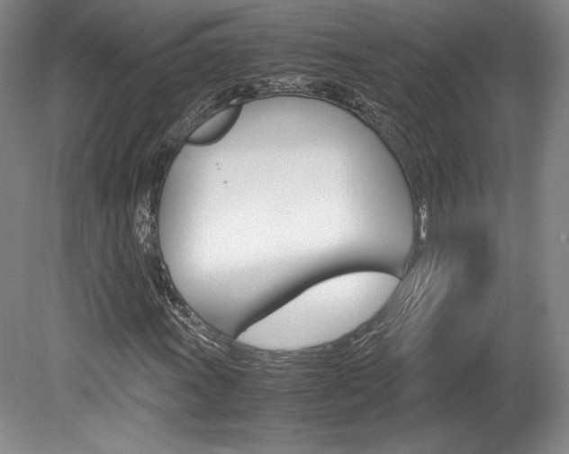 X0000078841011200611130952