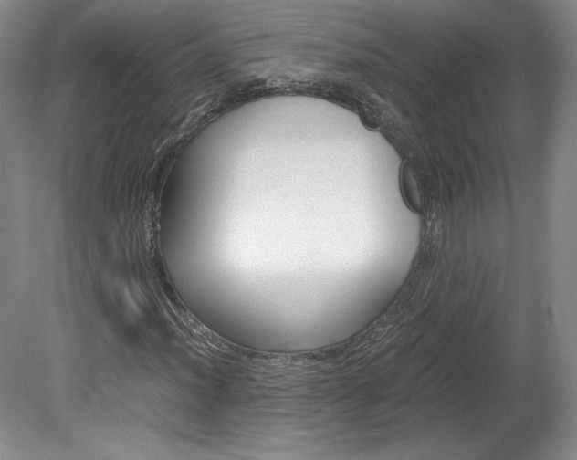X0000078841012200611130952
