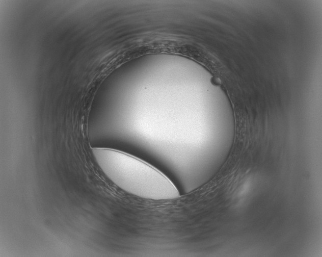 X0000078841013200611130952