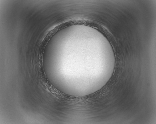 X0000078841016200611130952