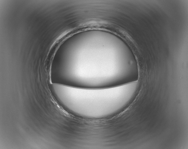 X0000078841018200611130952
