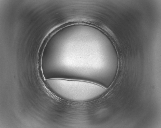 X0000078841020200611130952