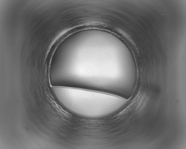 X0000078841021200611130952