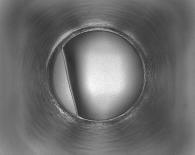X0000078841022200611130952