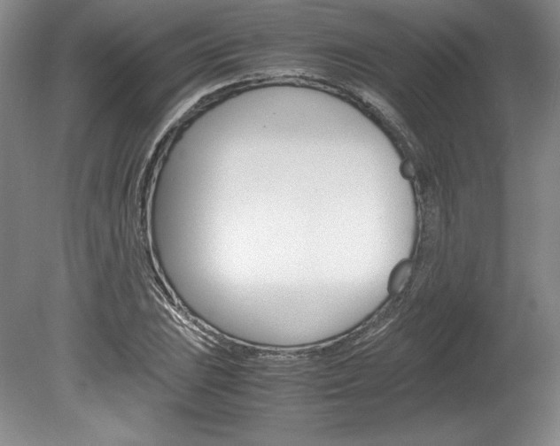 X0000078841023200611130952