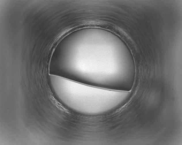 X0000078841025200611130952