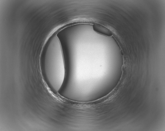 X0000078841030200611130952