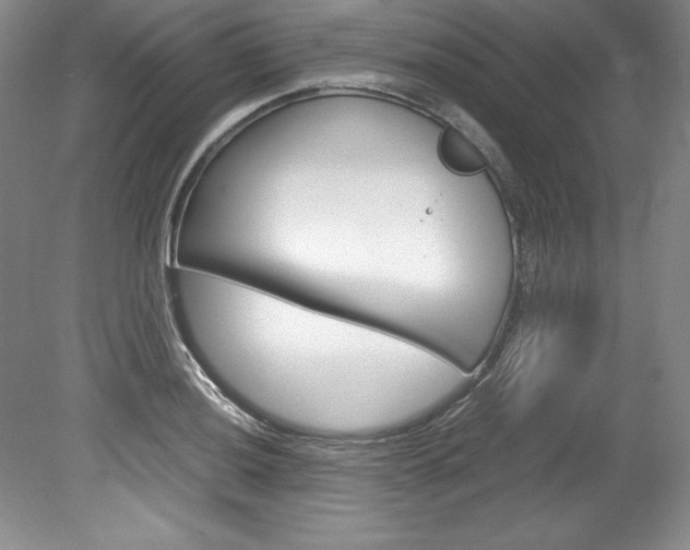 X0000078841036200611130952