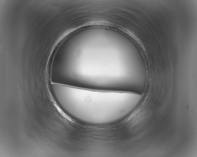 X0000078841037200611130952