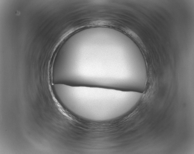 X0000078841039200611130952