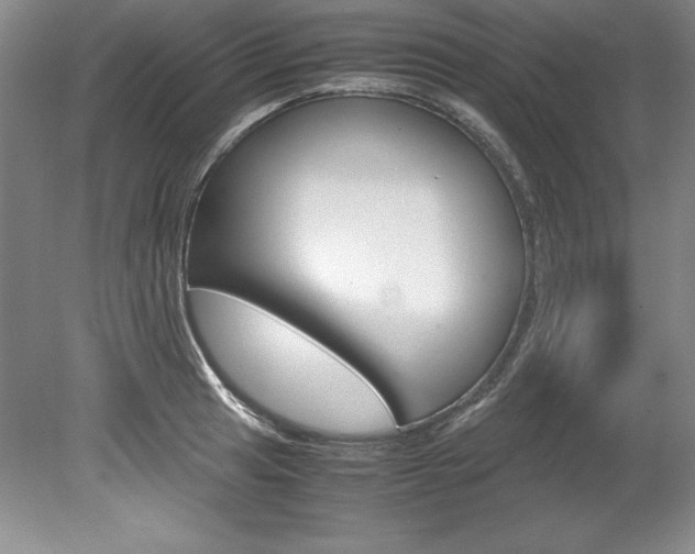 X0000078841041200611130952