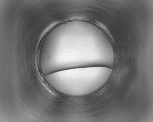 X0000078841043200611130952