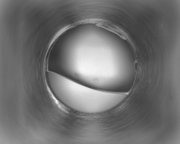 X0000078841050200611130953