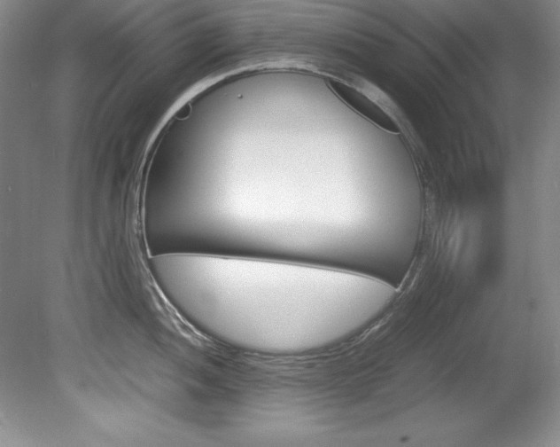 X0000078841052200611130953
