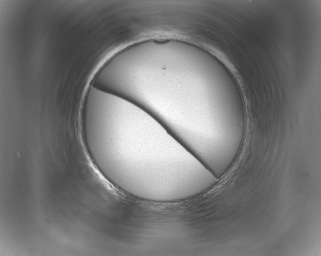 X0000078841056200611130953