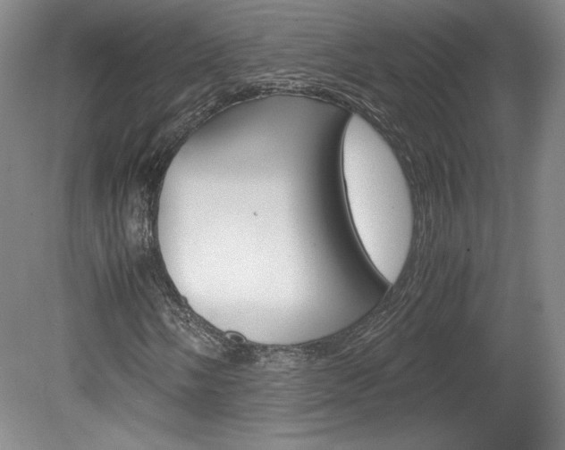 X0000078841058200611130952