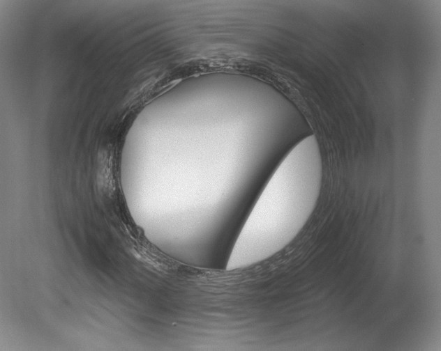 X0000078841060200611130952