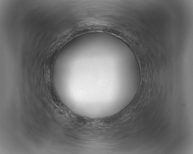 X0000078841061200611130952