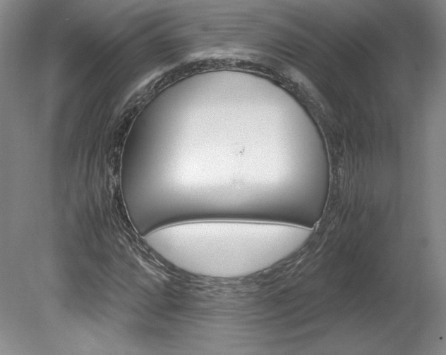 X0000078841064200611130952