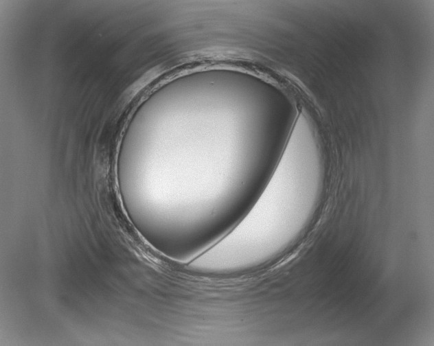 X0000078841065200611130952