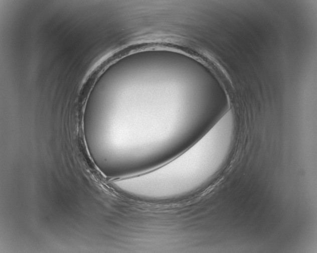 X0000078841069200611130952
