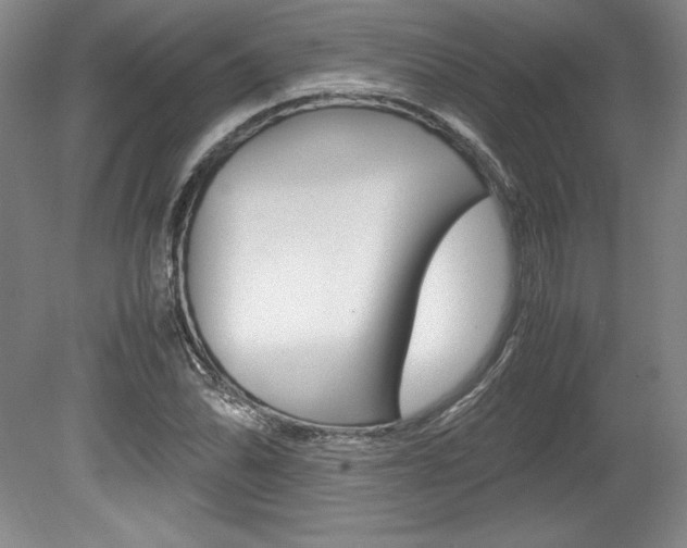 X0000078841070200611130952