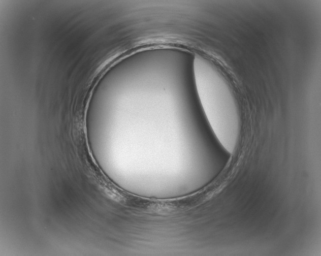 X0000078841073200611130952