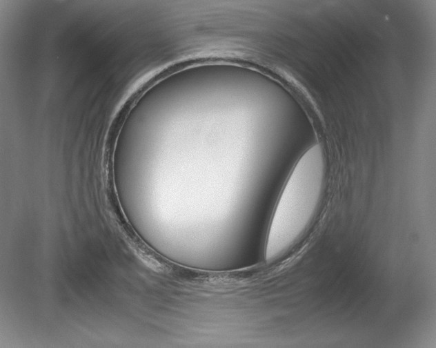 X0000078841077200611130951
