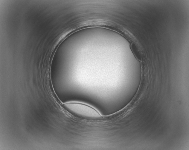 X0000078841081200611130951