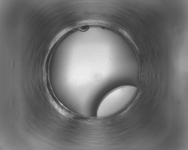 X0000078841082200611130951