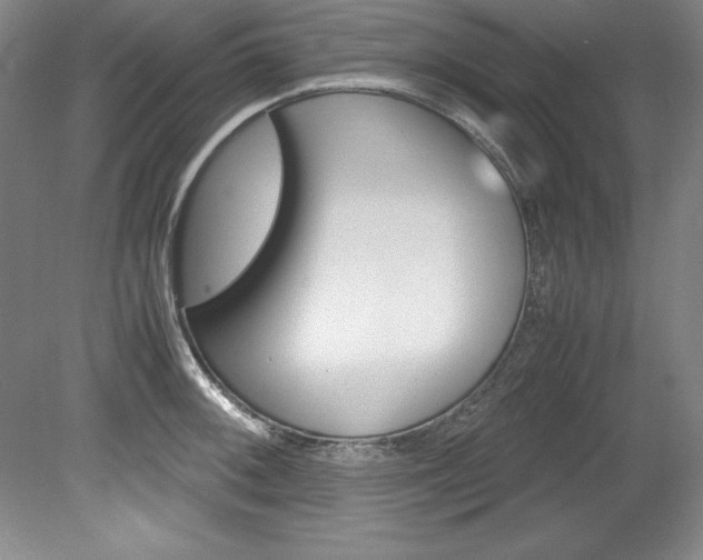 X0000078841092200611130951