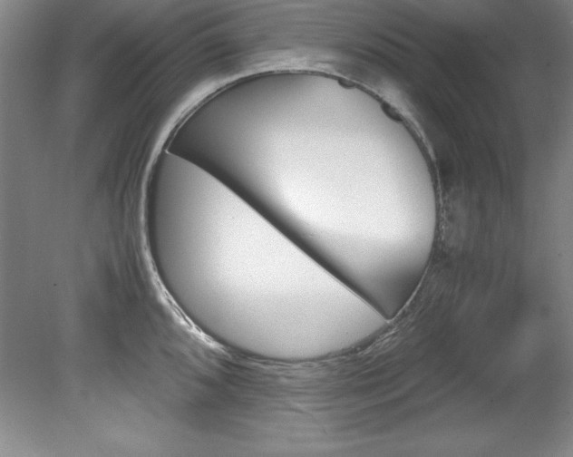 X0000078841096200611130951