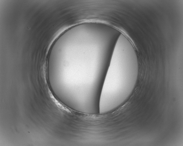 X0000078841100200611130951
