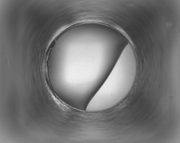 X0000078841101200611130951